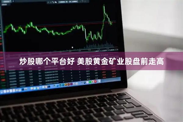 炒股哪个平台好 美股黄金矿业股盘前走高